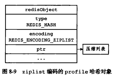 《Redis设计与实现第二版》