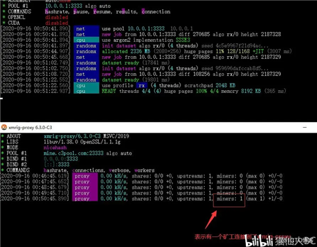 如何设置并使用xmrig-proxy