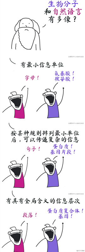 NLP太卷，我去研究蛋白质了~