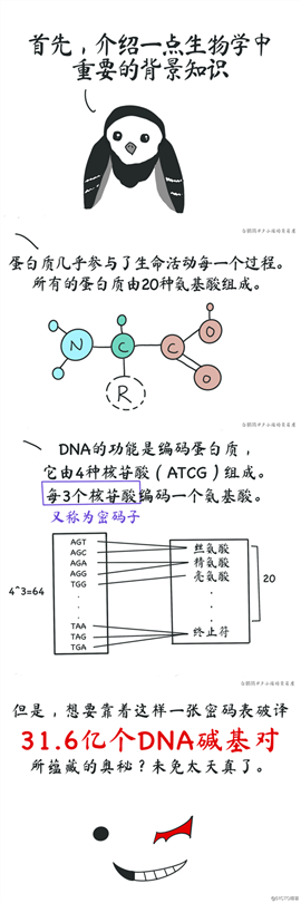 NLP太卷，我去研究蛋白质了~
