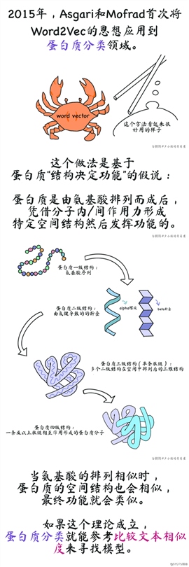 NLP太卷，我去研究蛋白质了~