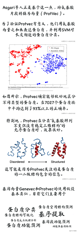 NLP太卷，我去研究蛋白质了~