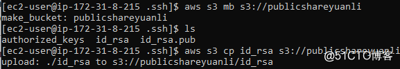 AWS Key Pair 和EC2