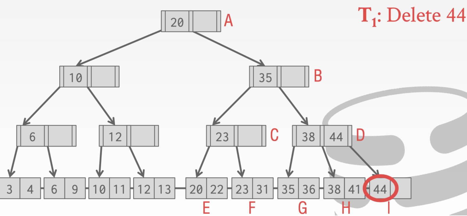 image-20210126184533688