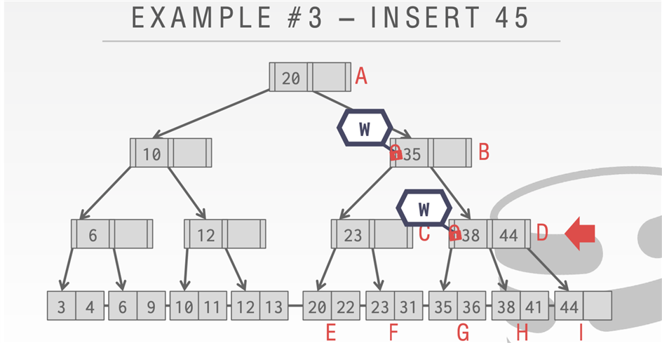 image-20210126190613339