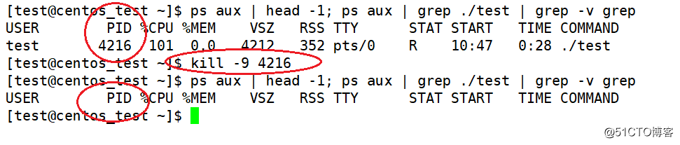浅谈Linux下进程相关属性和fork()函数