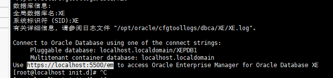 image-20210218104948170