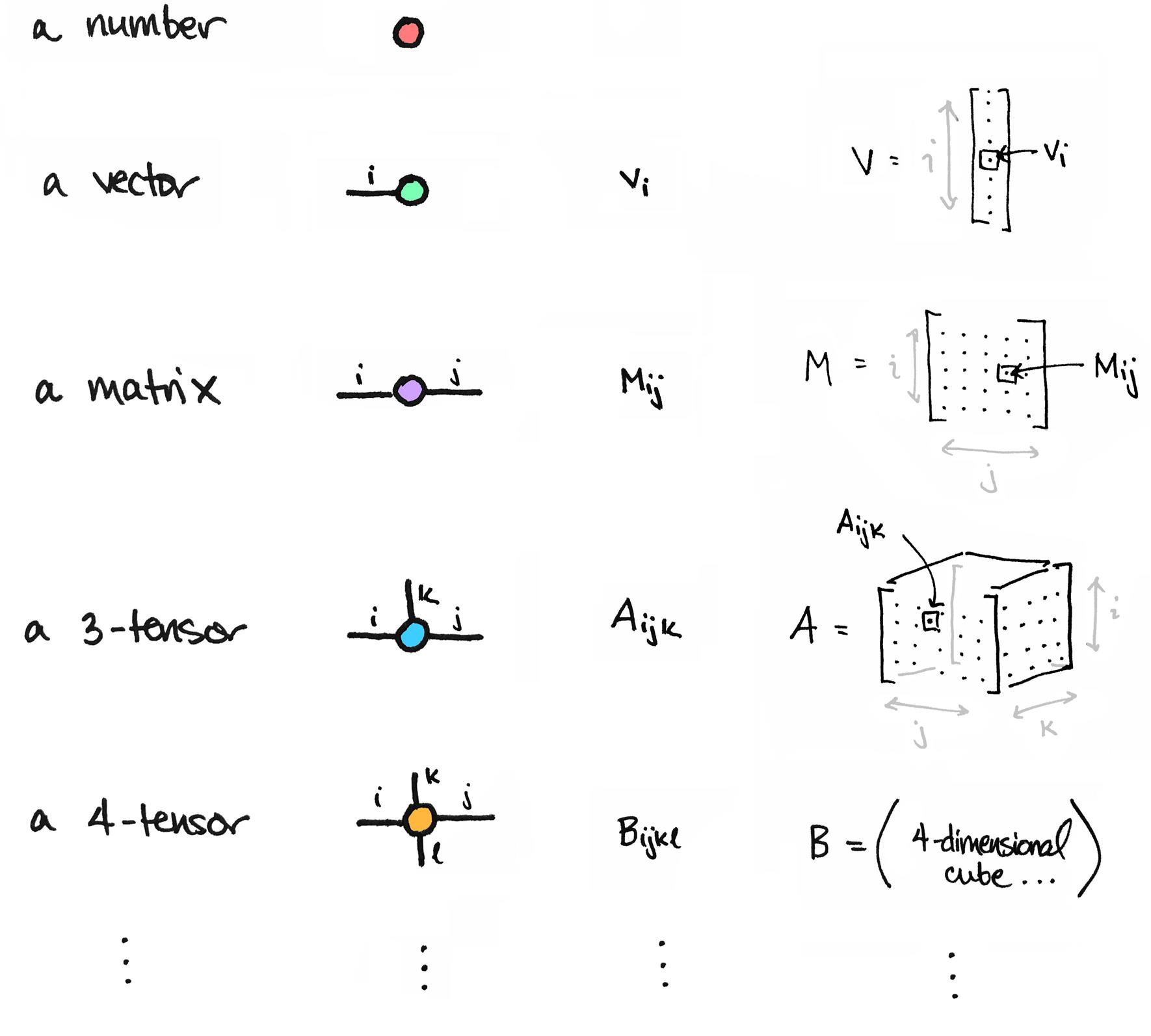 Scalar, vector, matrix, tensor - a drawing by Tai-Danae Bradley