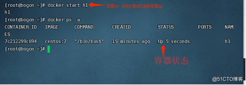 Docker容器--进阶操作