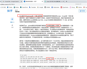网络sdn(1)
