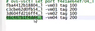 网络sdn(1)