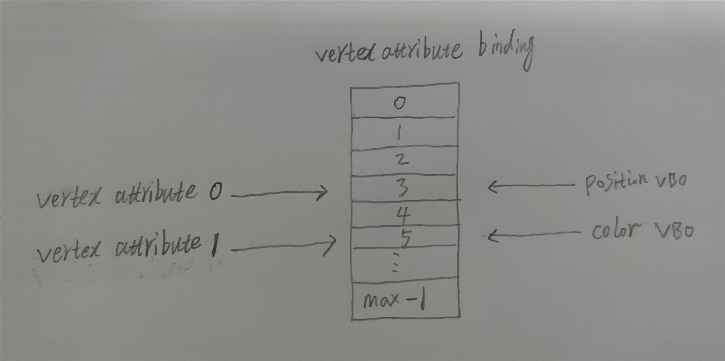 vertex attribute binding point