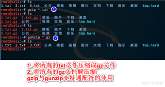 Kali与Shell编程 -- gzip和bzip2压缩包管理使用