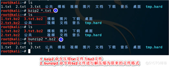 Kali与Shell编程 -- gzip和bzip2压缩包管理使用