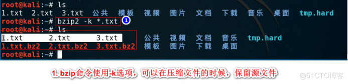 Kali与Shell编程 -- gzip和bzip2压缩包管理使用