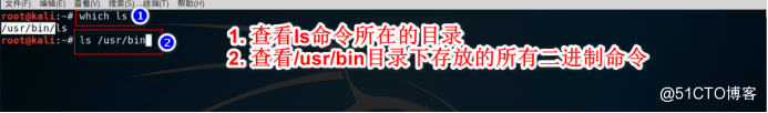 Kali与Shell编程 --  which和whereis定位命令或文件