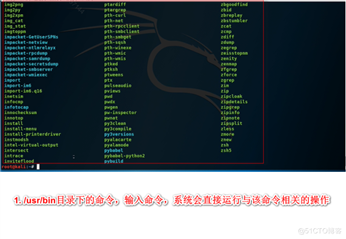 Kali与Shell编程 --  which和whereis定位命令或文件