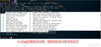 Kali与Shell编程 --  which和whereis定位命令或文件