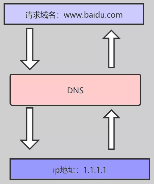 DNS