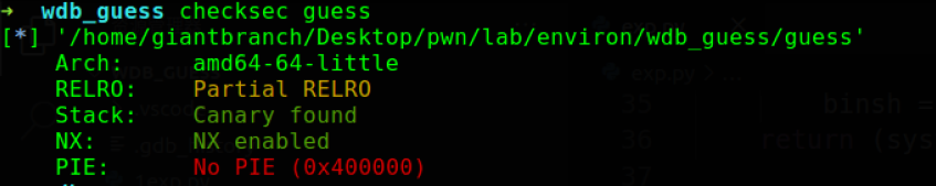 checksec