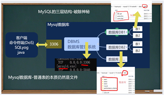 image-20210501181529182