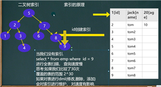 image-20210510104607448