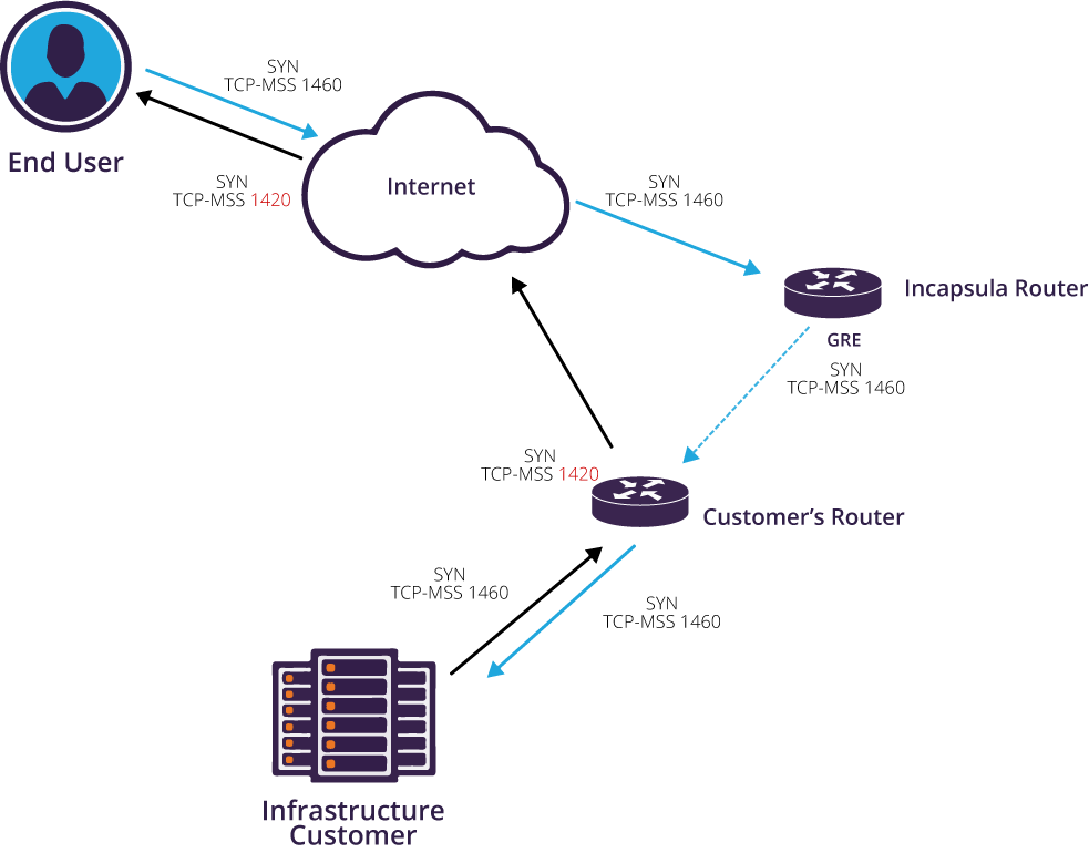 Incapsula infrastructure protection