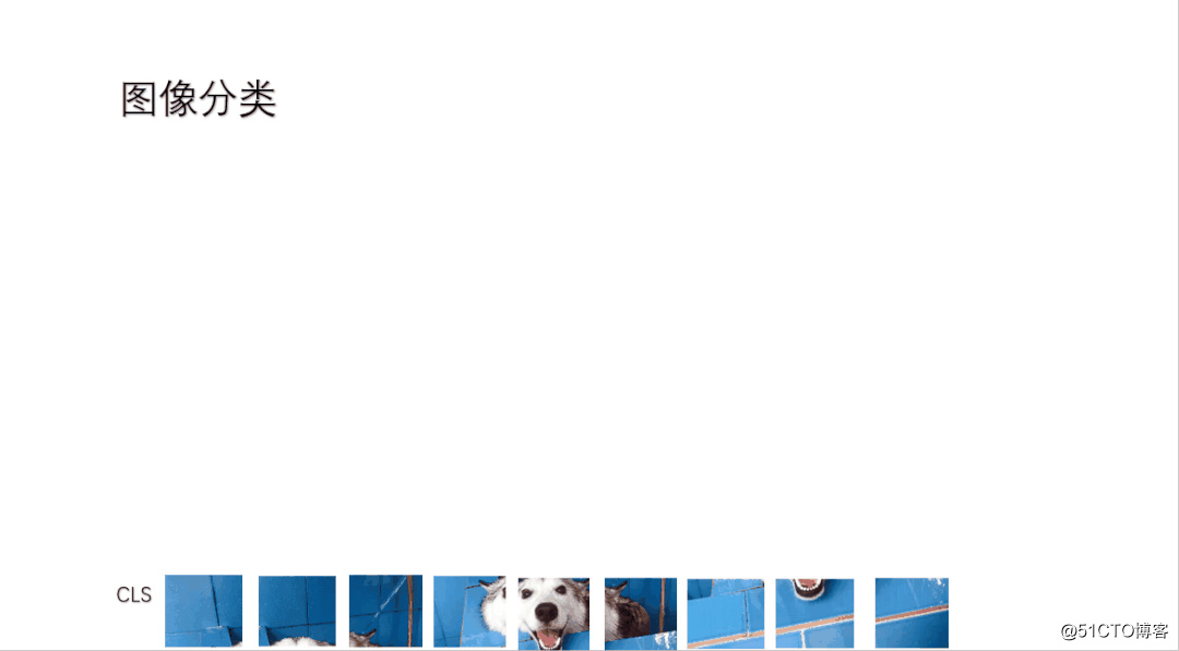 watermark,size_16,text_QDUxQ1RP5Y2a5a6i,color_FFFFFF,t_100,g_se,x_10,y_10,shadow_90,type_ZmFuZ3poZW5naGVpdGk=
