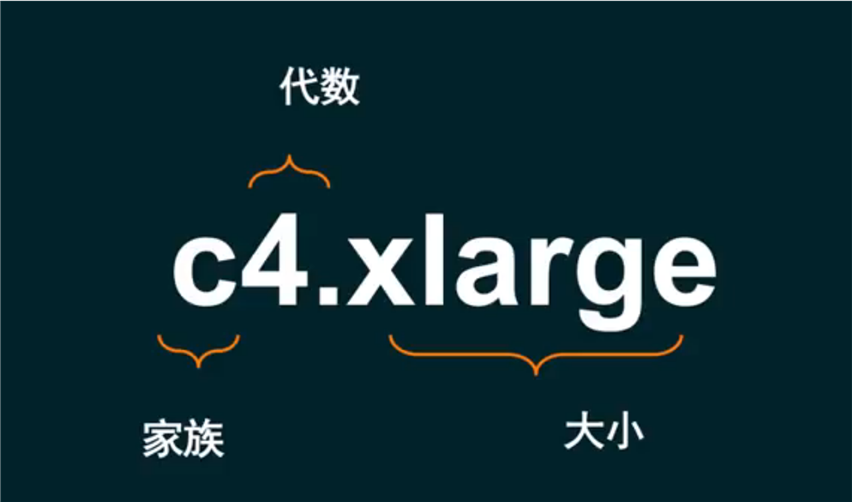 实例类型